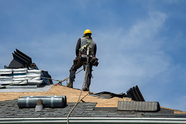 Professional Roof Replacement technician working in Steele, ND